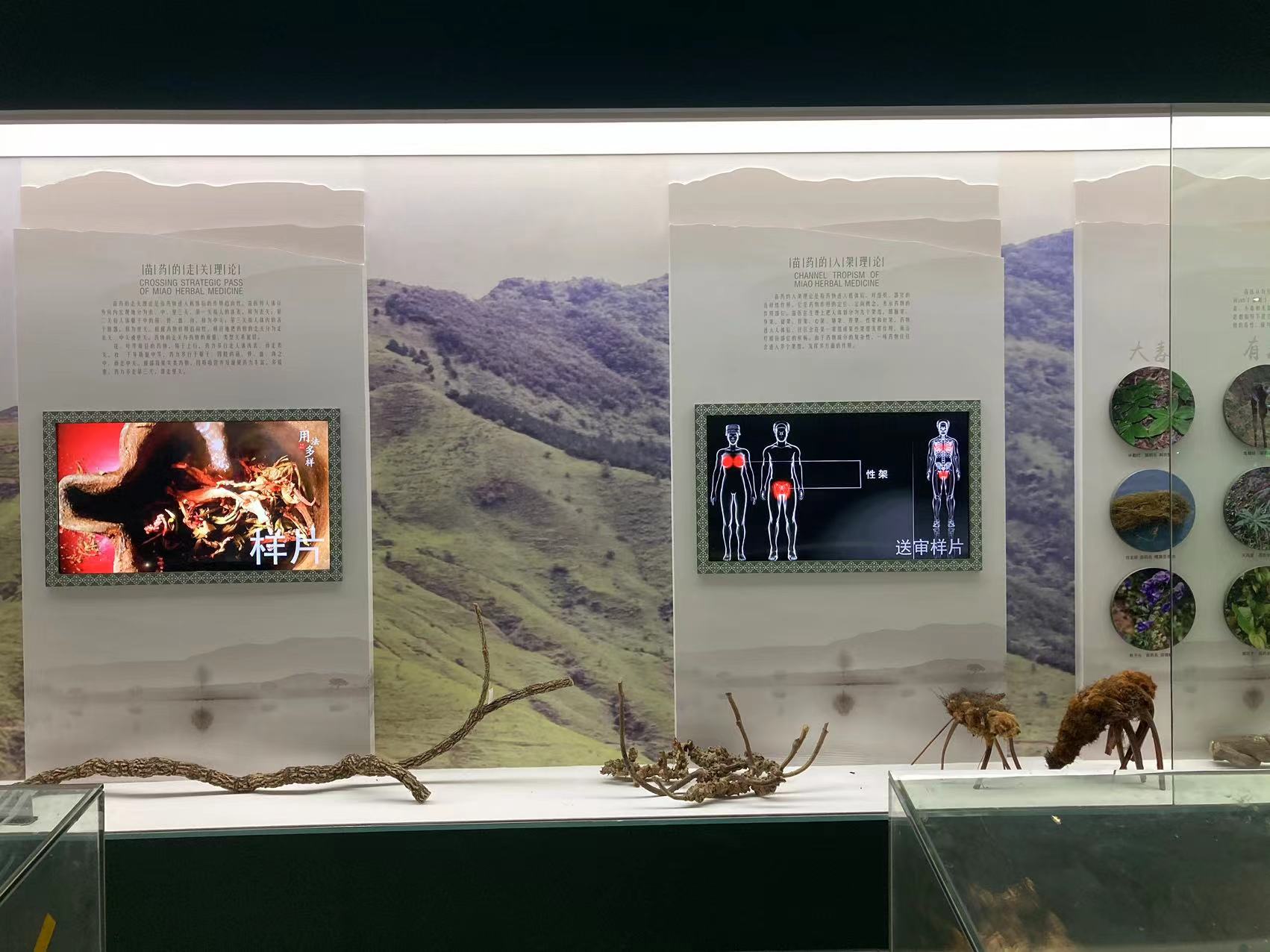 贵州苗药博物馆