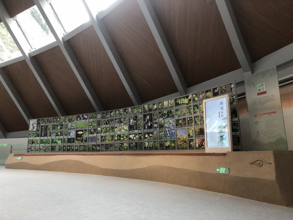 九寨沟游客展厅中心